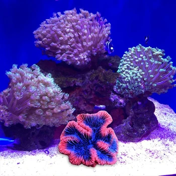Akvaariumi Kunstlik Coral Taime Vaik Mere Taime Ornament Simulatsiooni Mittetoksiline Magevee Ja Soolase Vee Kala Tank Decor