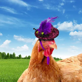 Naljakas Kana Müts jaoks on Kana Pisike Lemmikloomad Naljakas Chicken Feather Tarvikud Mütsi Kukk, Part Papagoi, Hamstri Kodulindude Näita Kostüüm