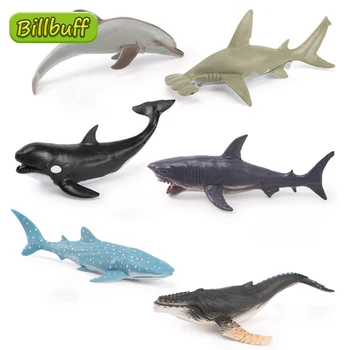 6tk Simulatsiooni Ookeani Mudelid Hai Vaal, Delfiin Küürus Vaal Tegevus Arvandmed Tunnetus Alguses Haridus mänguasjad Lastele Kingitus