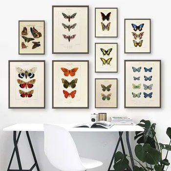 Põhjamaade RETRO art lõuend värvimine butterfly putukate areng plakat elutuba koridori seina maali kodu kaunistamiseks seinamaaling