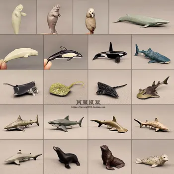 Mereloomade Mudel Sea Lion Morsa Lõuad kašeloti Hai, Delfiin Manta Rays Ookeanide Maailma DIY Mini Figuriin Tegevus Arvandmed Mänguasjad